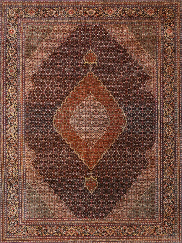 55612   TABRIZ MAHI